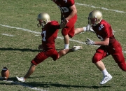 爱游戏大厅-逆转奇迹，里昂的丹麦之夜与阿尔瓦雷斯的惊艳绽放