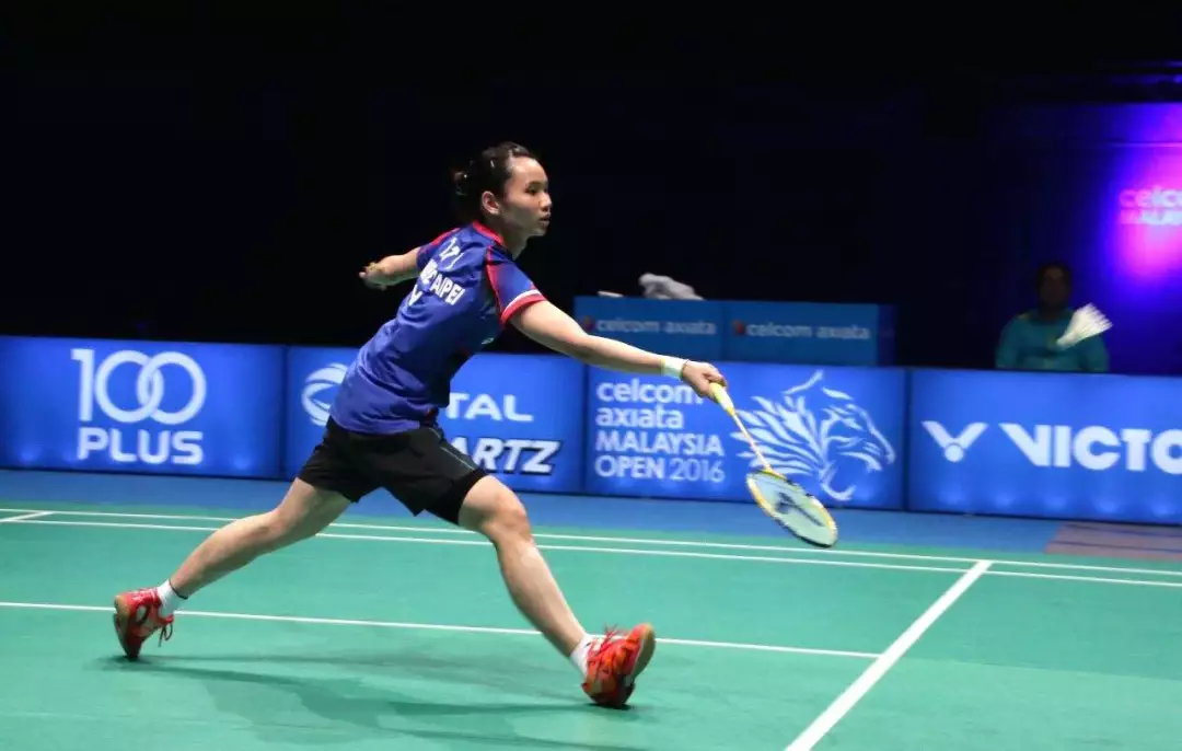 法国队绝杀丹麦队，戴资颖高光表现