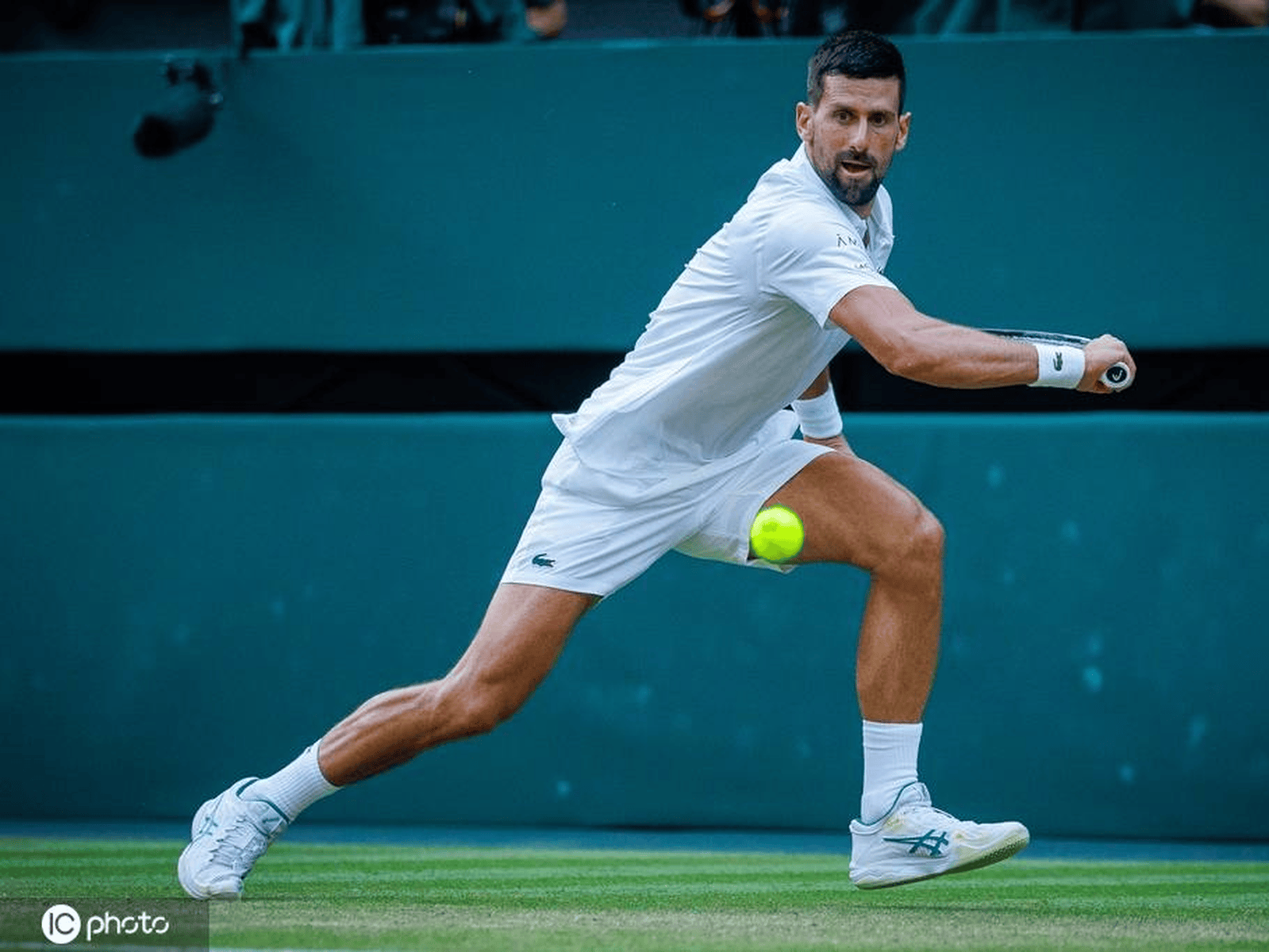 德国网球队血洗欧洲网球队，德约科维奇统治全场