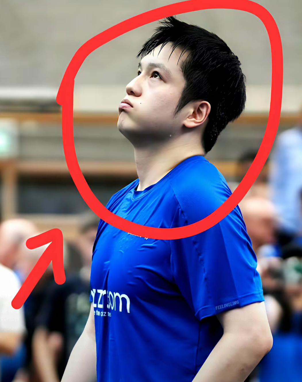 葡萄牙队横扫波兰队,樊振东惊艳四座 葡萄牙队横扫波兰队,樊振东惊艳四座