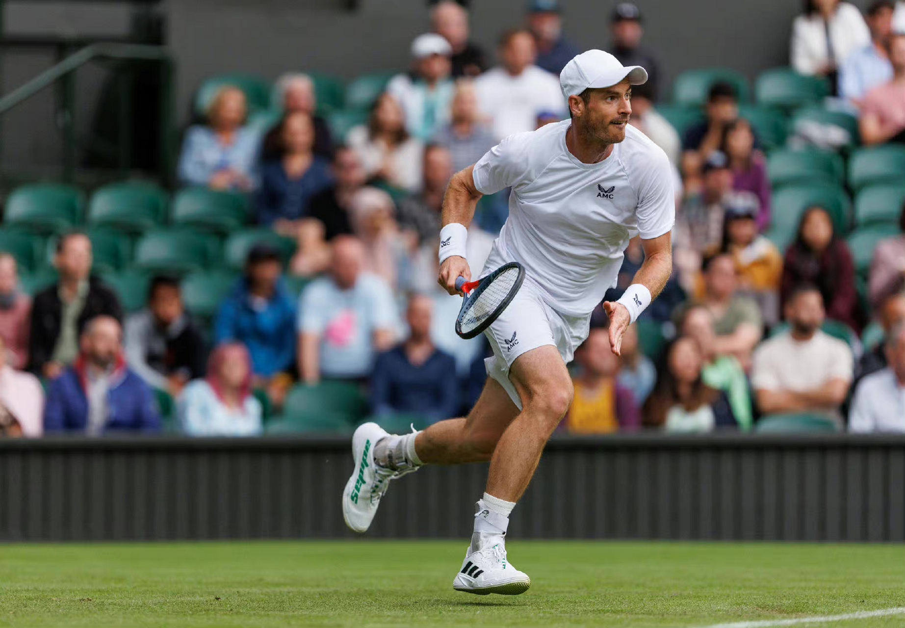 澳网横扫温网,穆雷刷新纪录 澳网横扫温网,穆雷刷新纪录