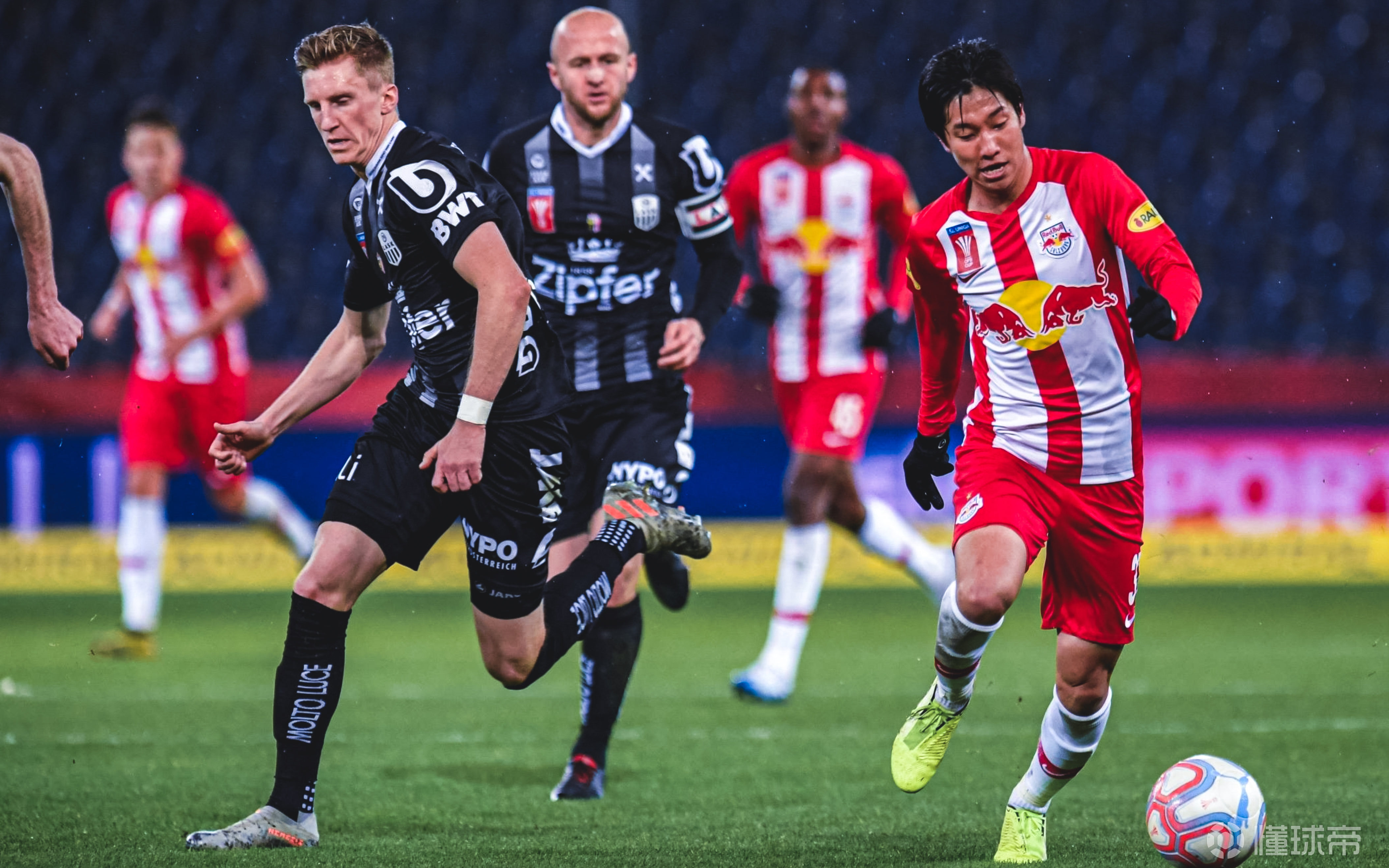 澳洲联赛领头羊确定,珀斯野猫卫冕成功 澳洲联赛领头羊确定,珀斯野猫卫冕成功