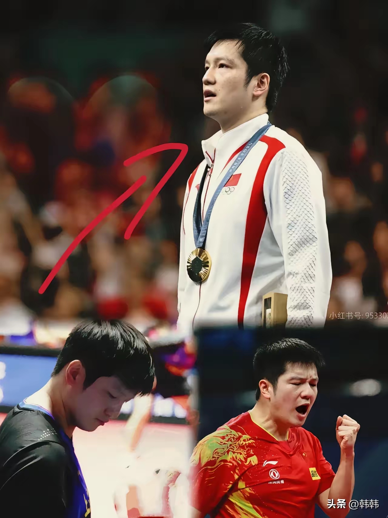 中国队逆转波兰队,樊振东惊艳四座 中国队逆转波兰队,樊振东惊艳四座